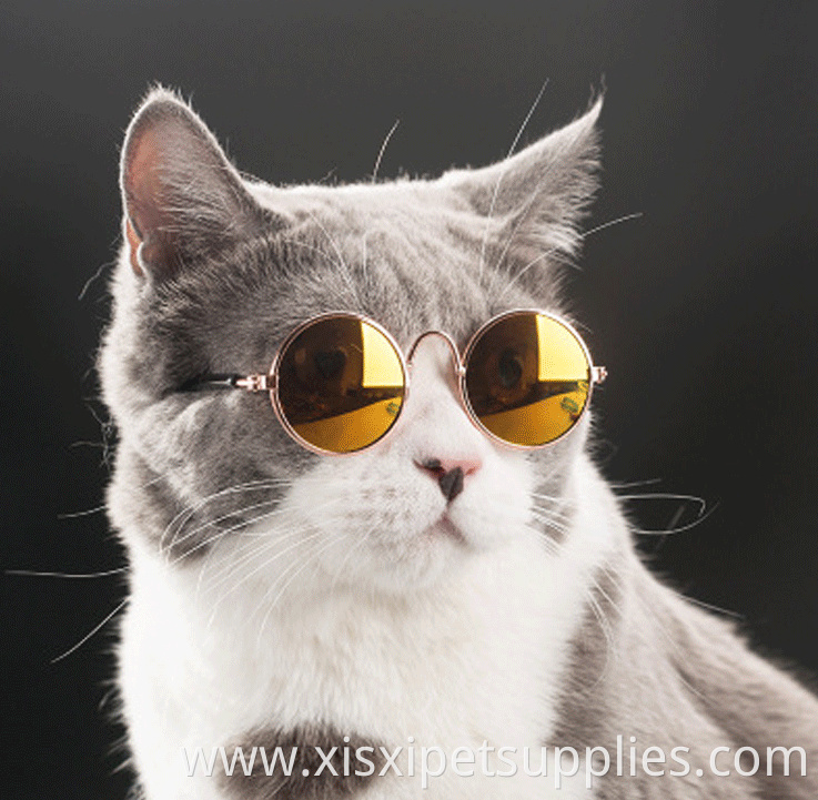 Circular Metal Prince Funny Cute Pet Sunglasses For Cat Small Dogs decorated accessories